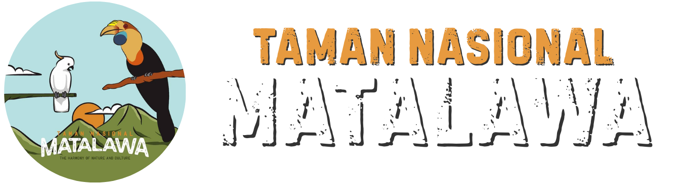 tnmatalawa.org