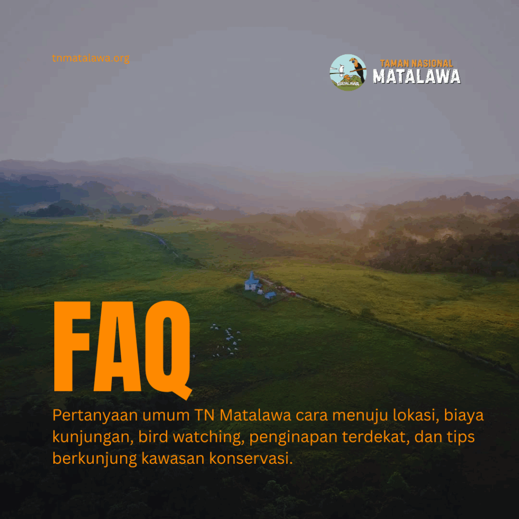 tnmatalawa.org