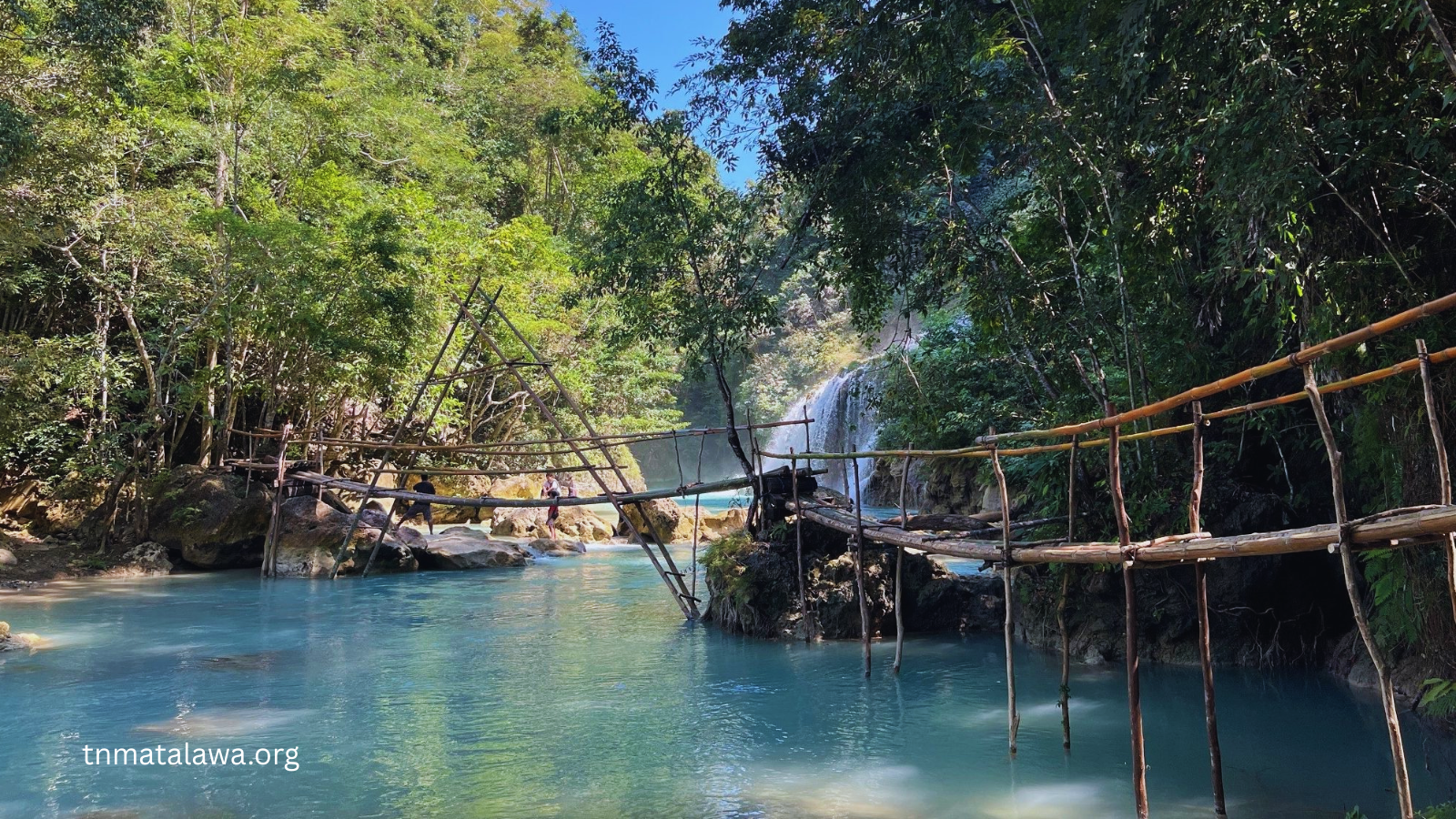tnmatalawa.org