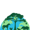 tnmatalawa.org