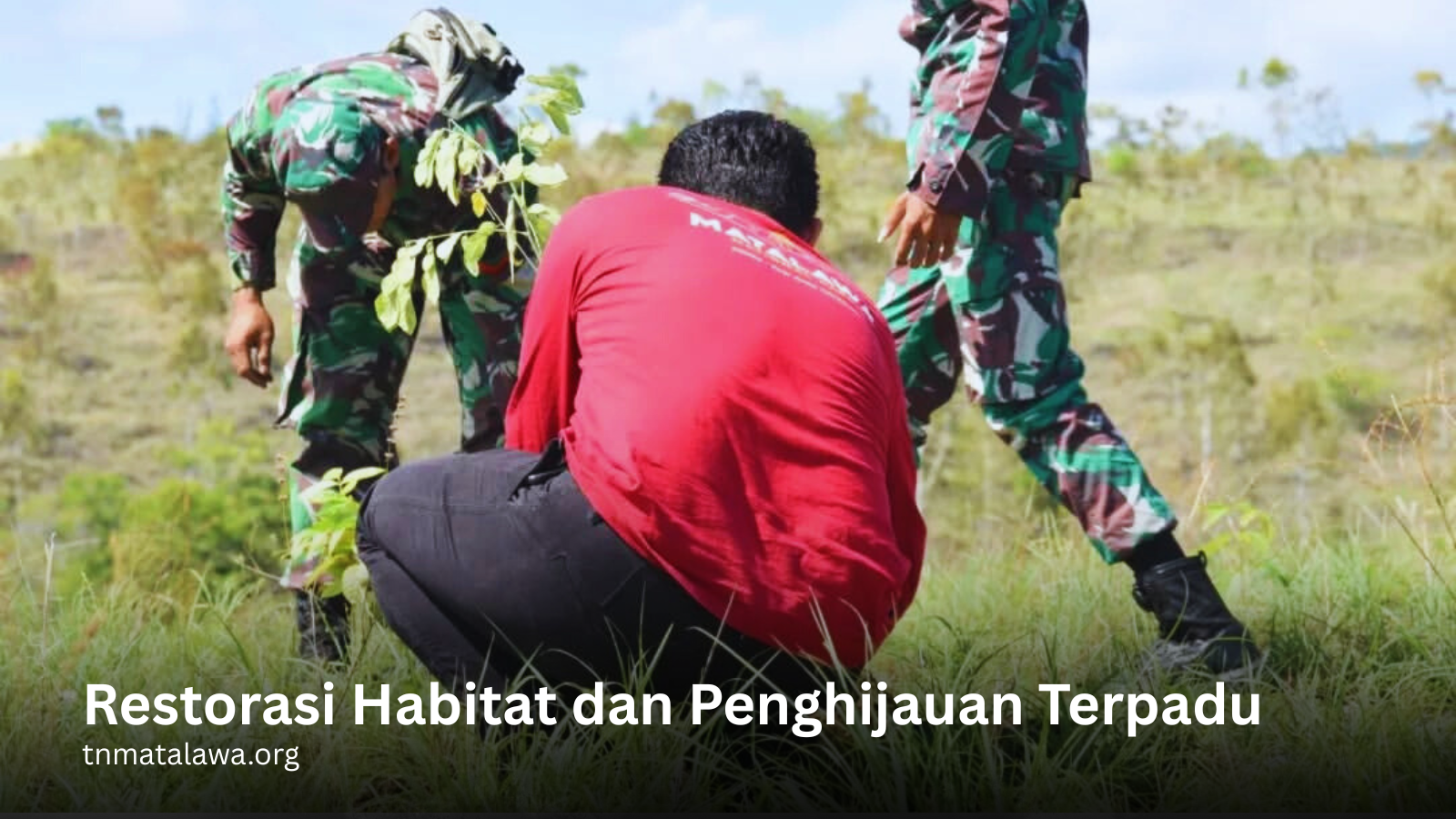 tnmatalawa.org
