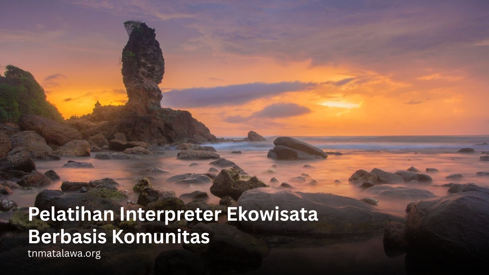 tnmatalawa.org
